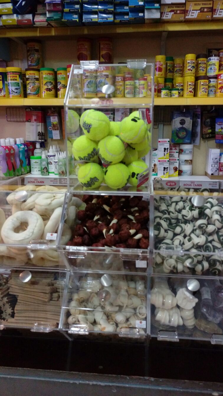 ����� ����� ����� �������� ����� ������ ����, ������ ���� 