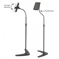 ���� ����� ������