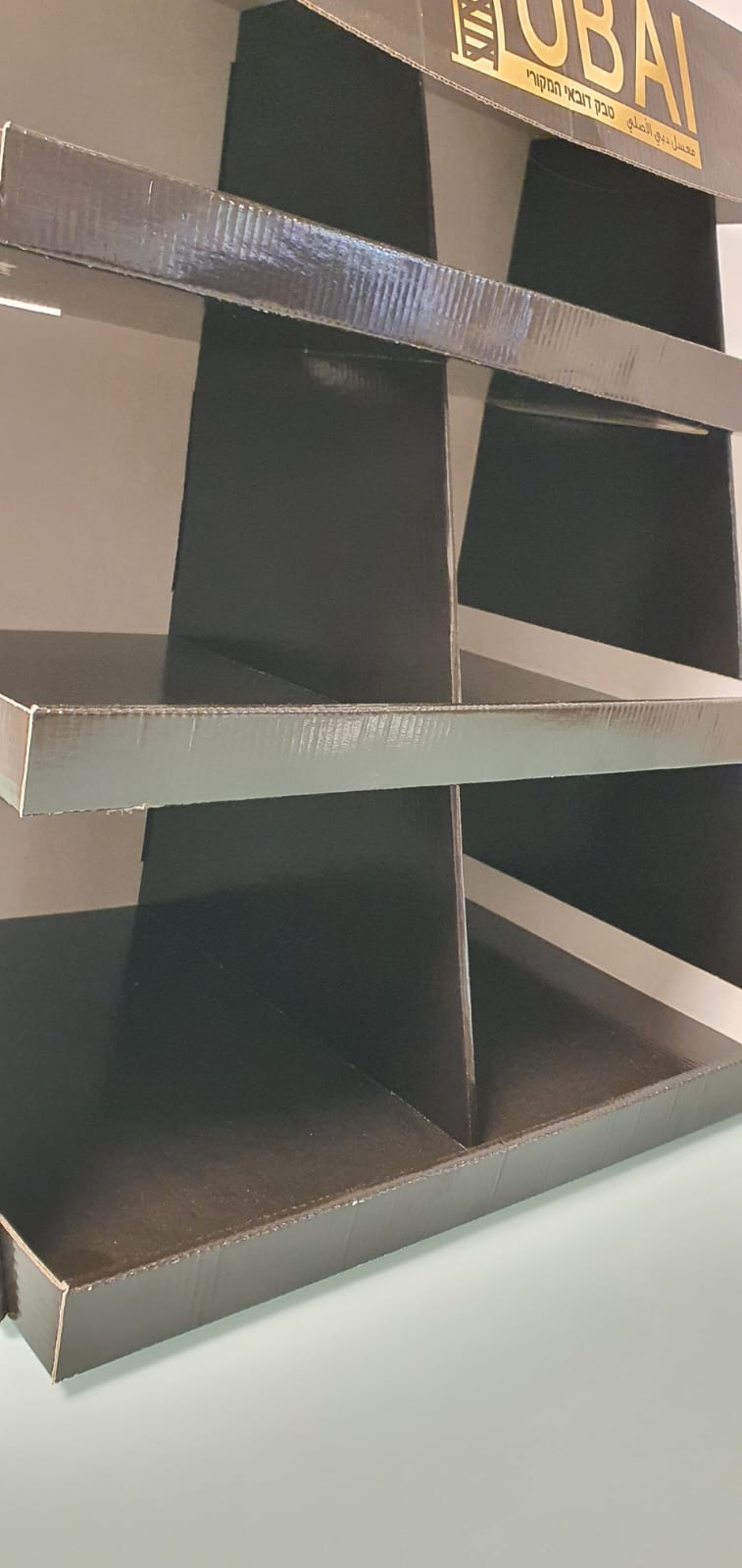 ���� ����� ����� ������ - ����� 