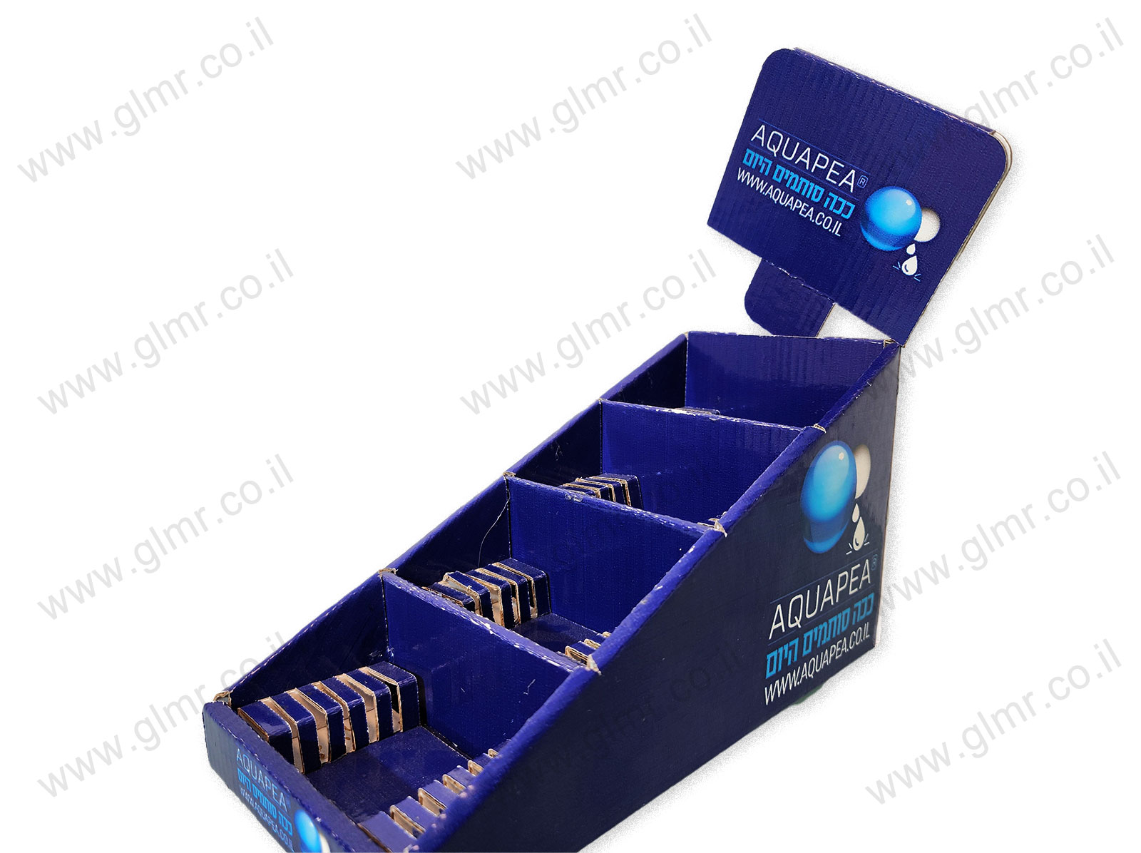 ���� ����� ������ ����� ����� �������� �� ����� 