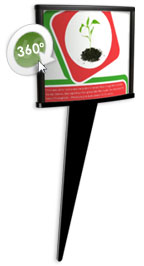 ��� ��������� ��� (8X6) ���� ���� ���� ����