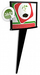 ��� ���� ����� ����� 