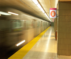 ��� ���� ����� ������ - Vista light