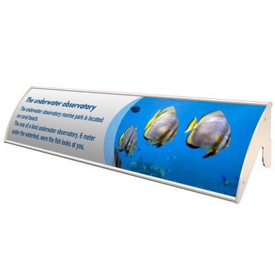 ���� ��� ��� "������"