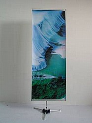 ���� ����