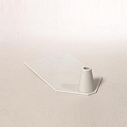 ���� ������ ����� �������