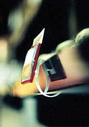 ���� ����� ������ ����