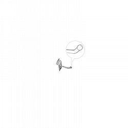 �� ���� 5 ���� ����� ���� ������ 