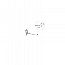 �� ���� 10 ���� ����� ���� ������ 