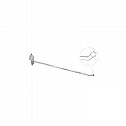 �� ���� ��� 30 ���� ����� �� ���� ������