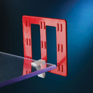 ����� ���� ������ �����