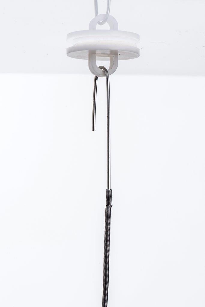 ���� ���� �����