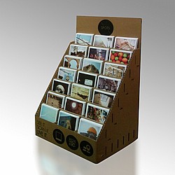 ���� ������ �����