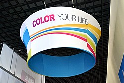 ���� ���� ������