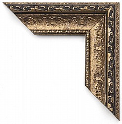 סדרת פלטיניום צבע זהב סדרת פלטיניום צבע זהב