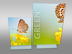 ���� ������ �����