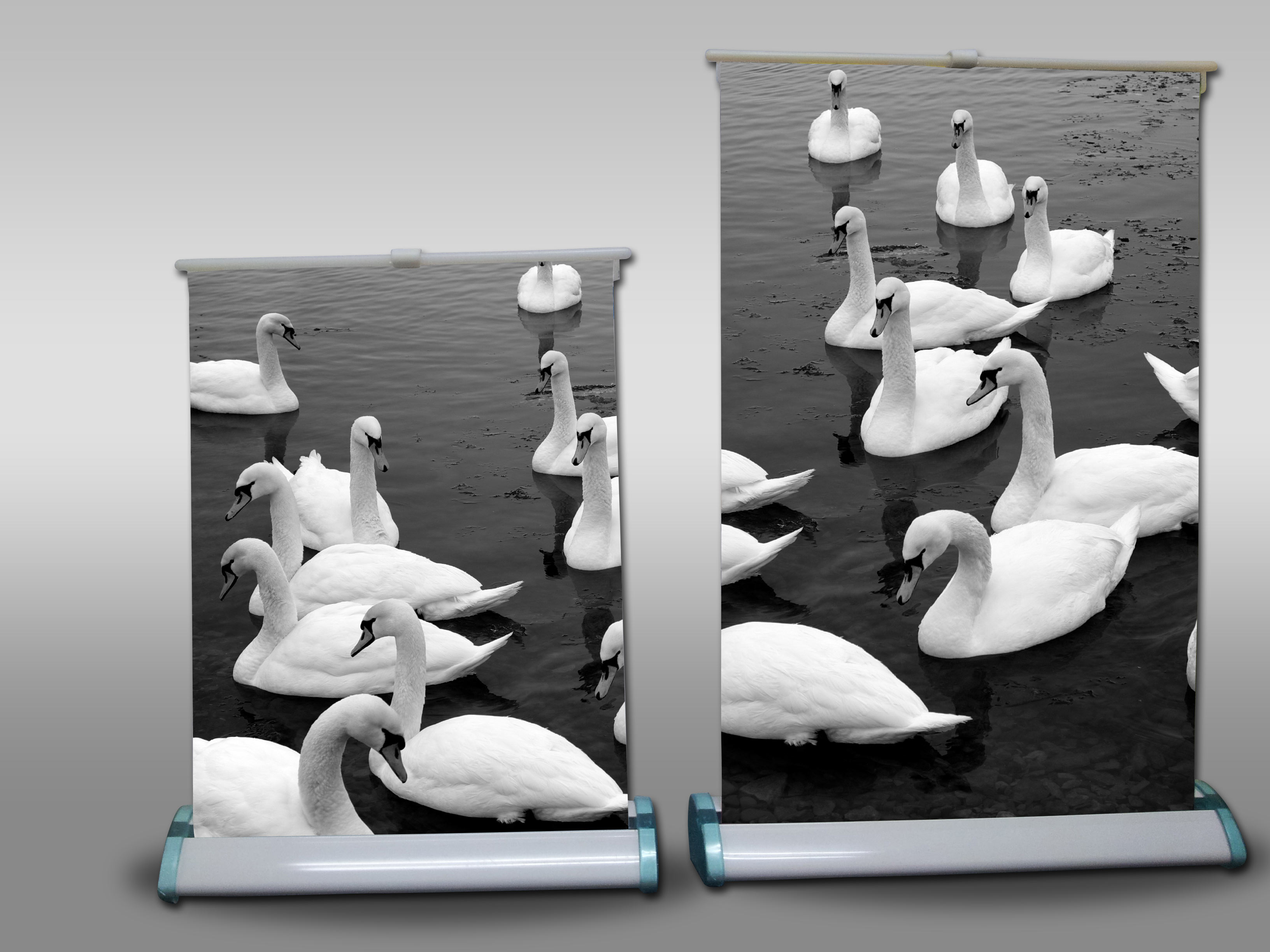 ���� ��� �� A4