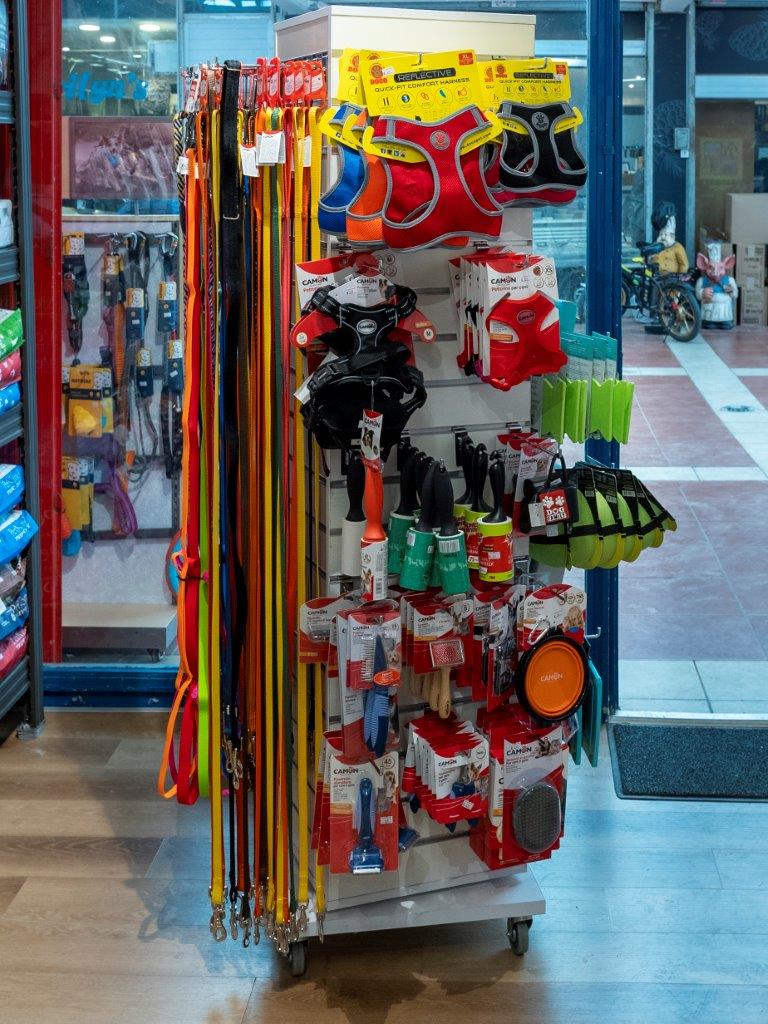 ���� ����� ������� �� ���� ������ - ����� ����� ������ ������� �������� ����� �����