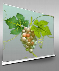 ��� ����� ���� 240